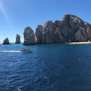 Meet your Posher, Ellie